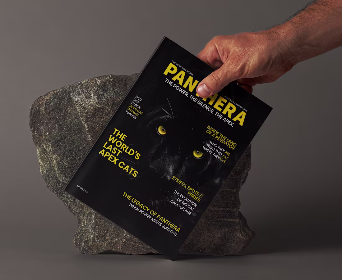 Cover image for Designed a 8 page magazine