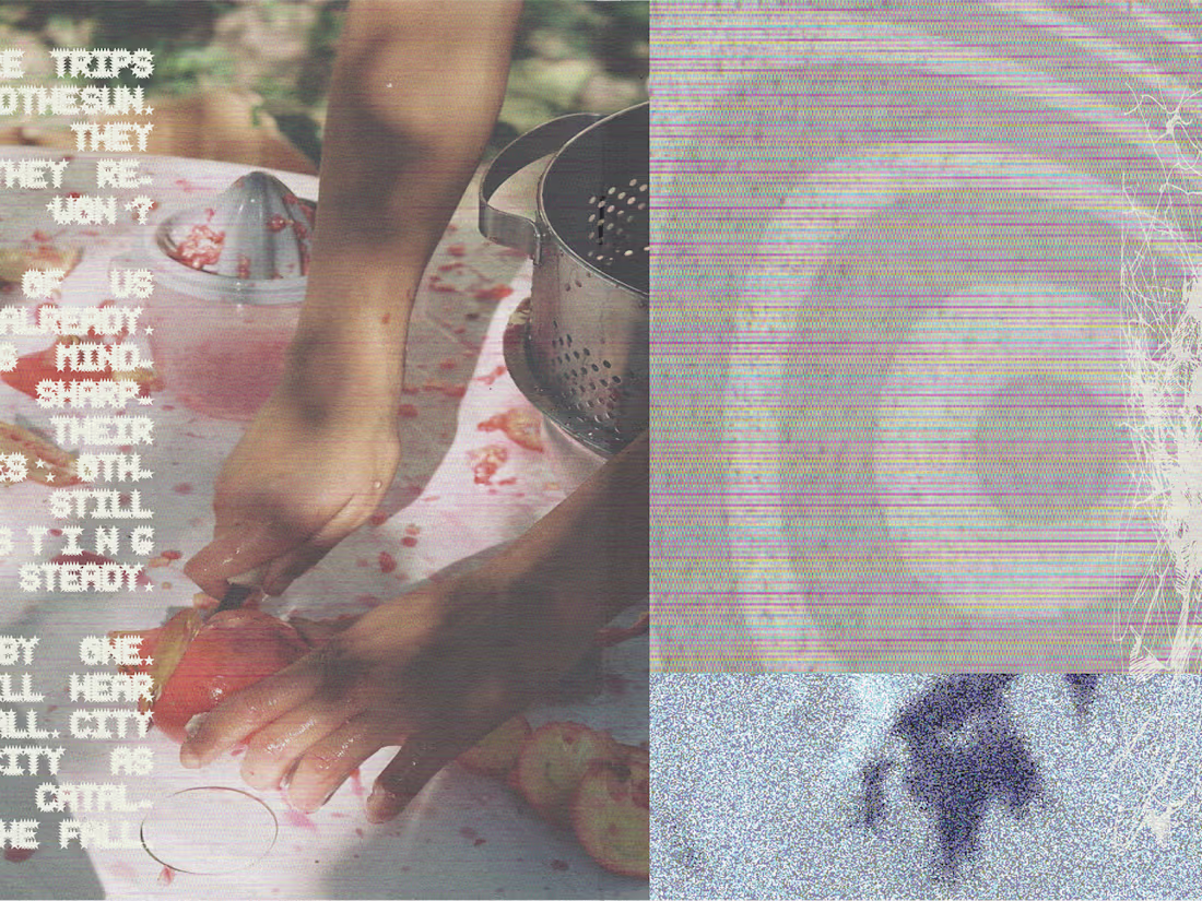 Cover image for ZINES FOR NOW