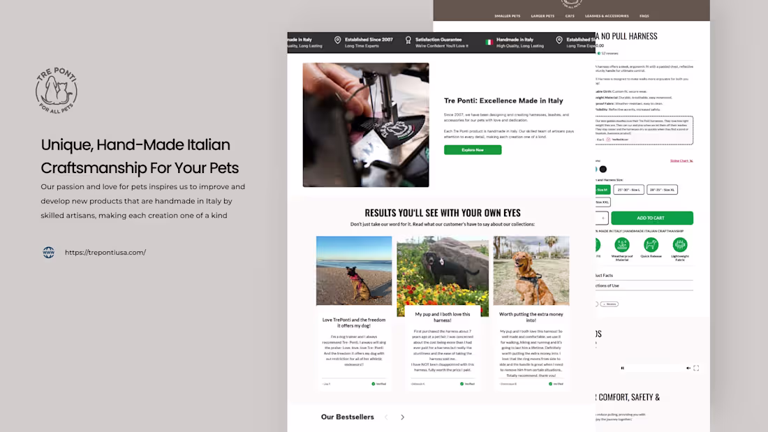 Cover image for trepontiusa