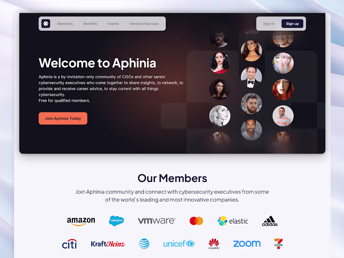 Cover image for Aphinia Website Redesign