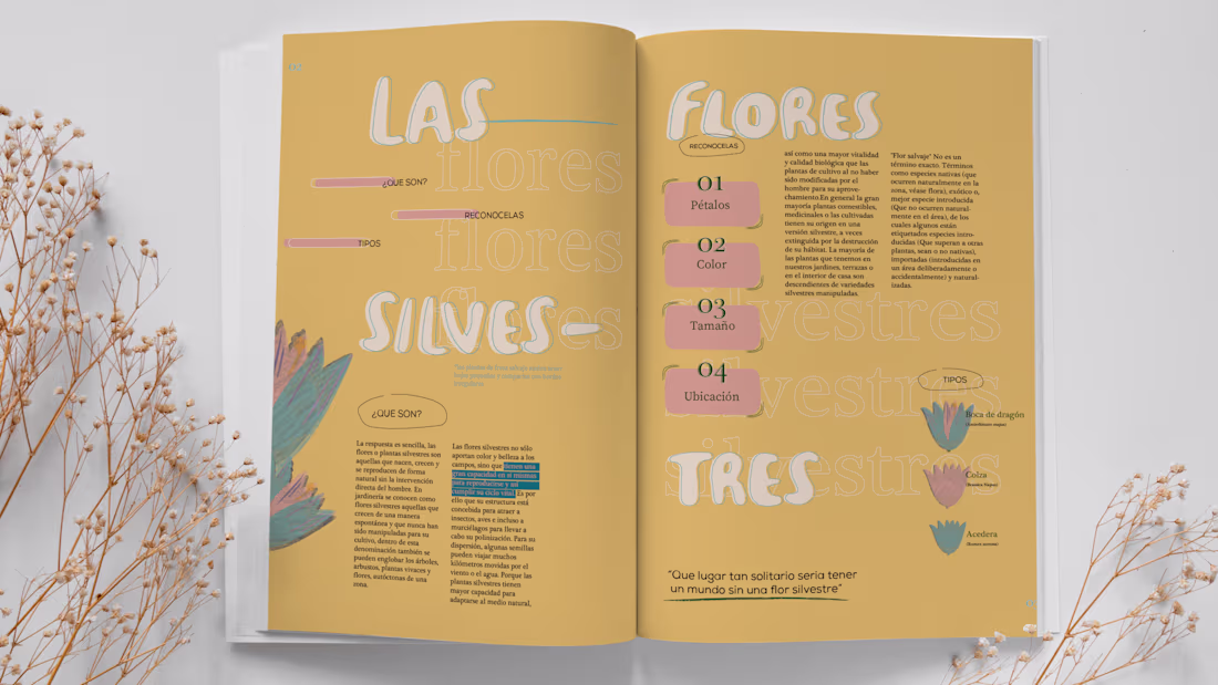 Cover image for Portfolio  