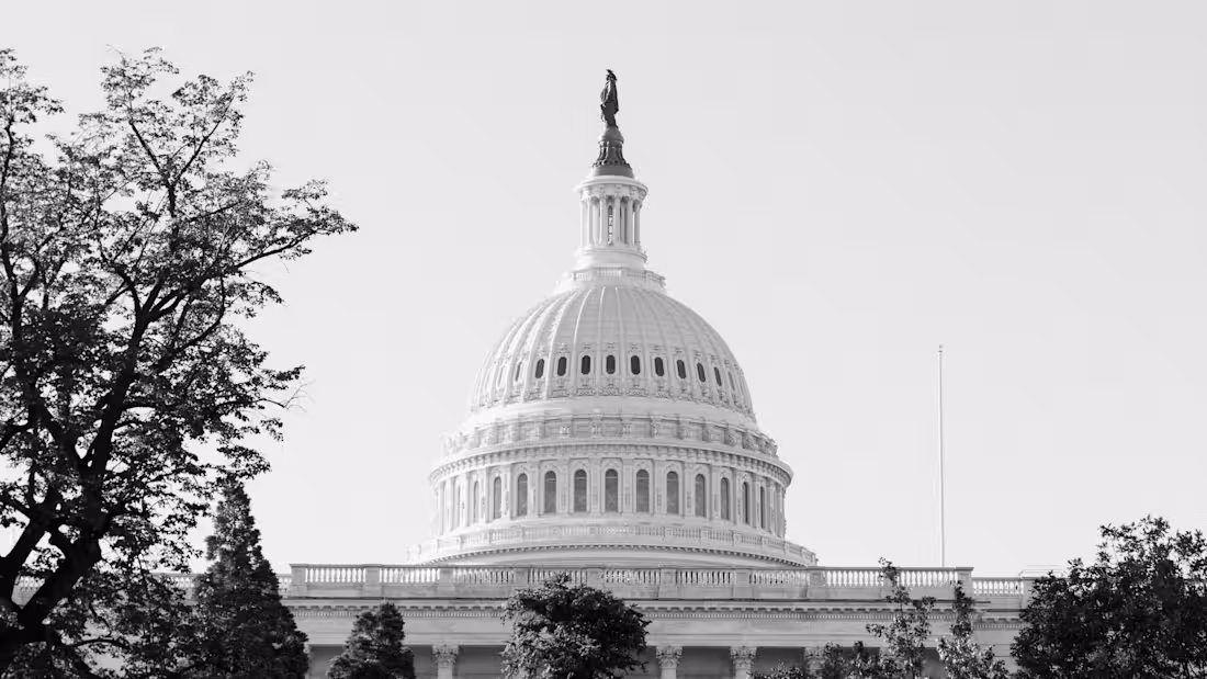 Cover image for STARS & STRIPES