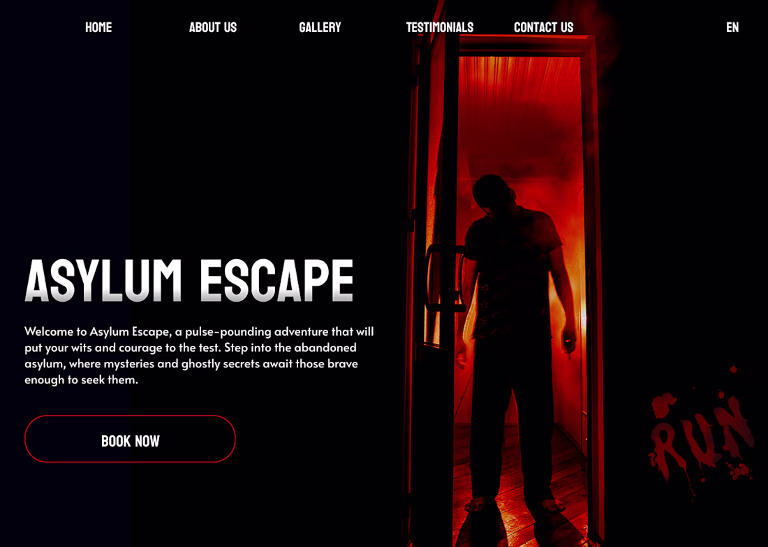 Cover image for Asylum Escape: Website Landing Page