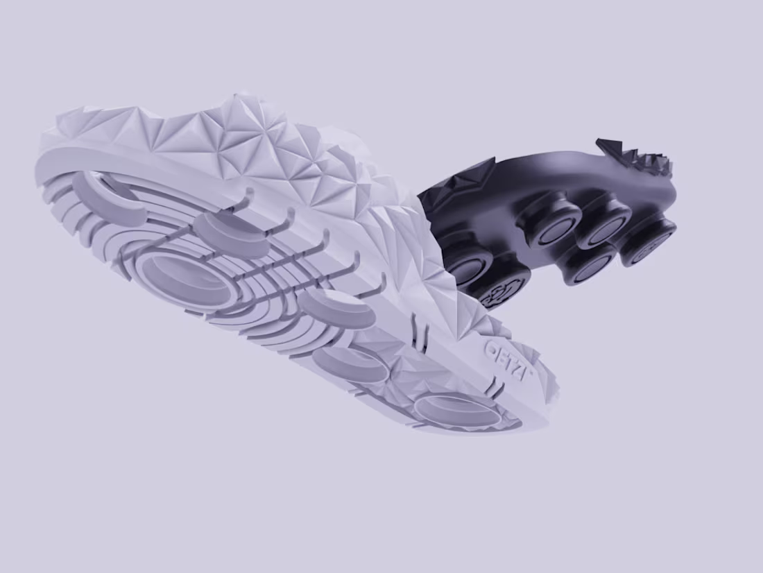 Cover image for Sustainable Footwear