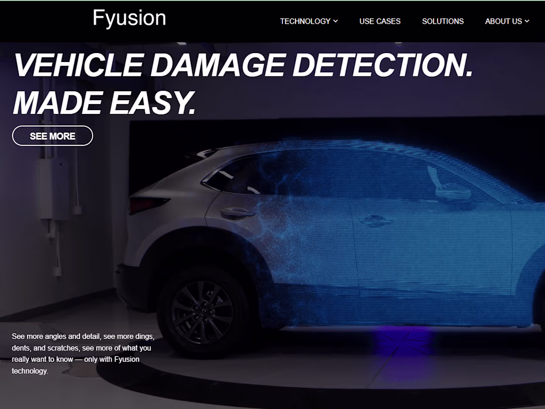 Cover image for Fyusion, Inc