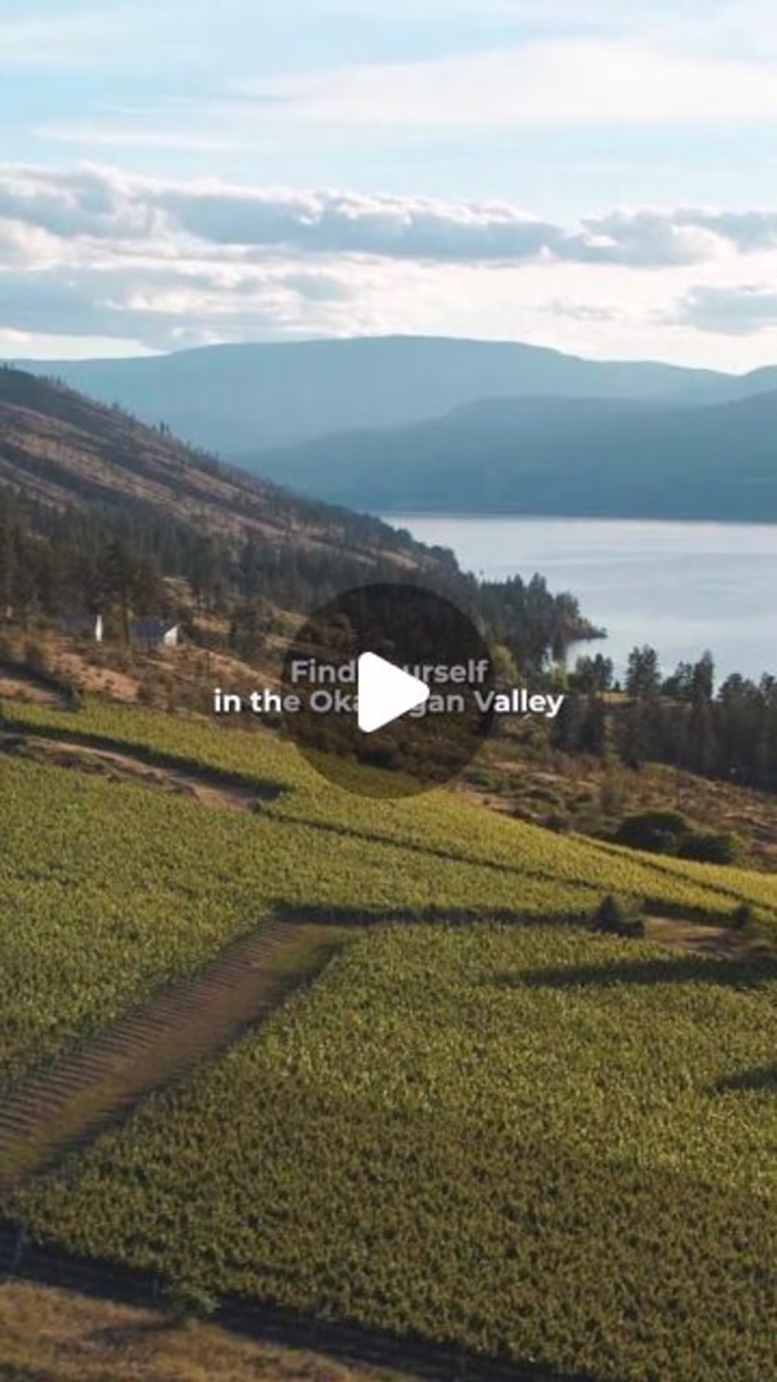 Cover image for Instagram Reel - Wine BC video