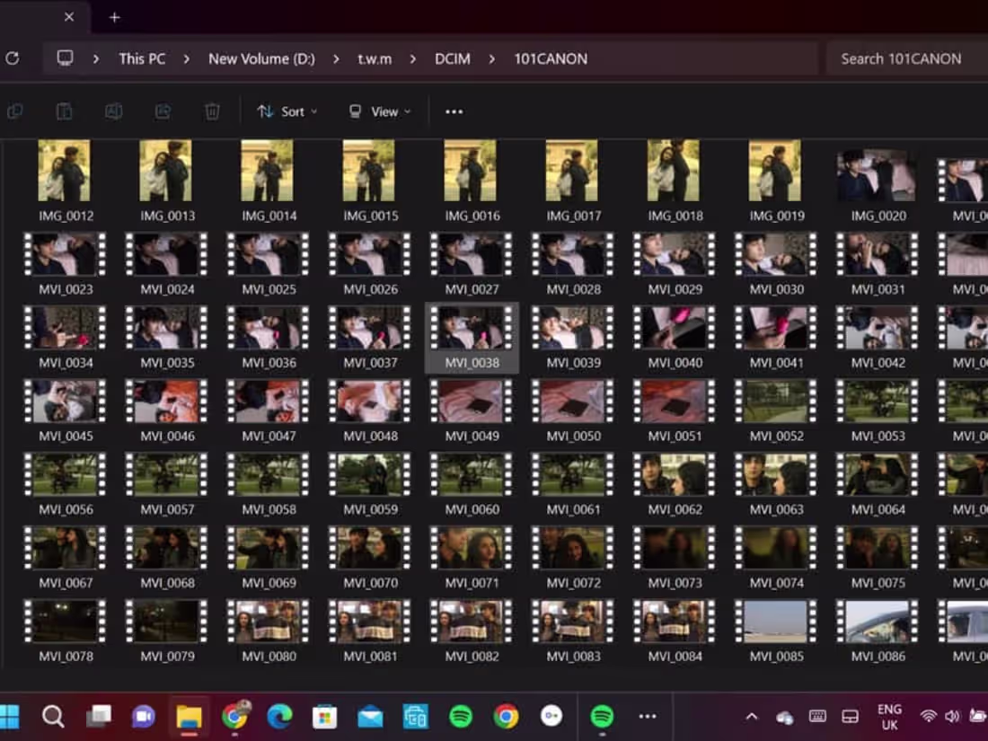 Cover image for student survivor