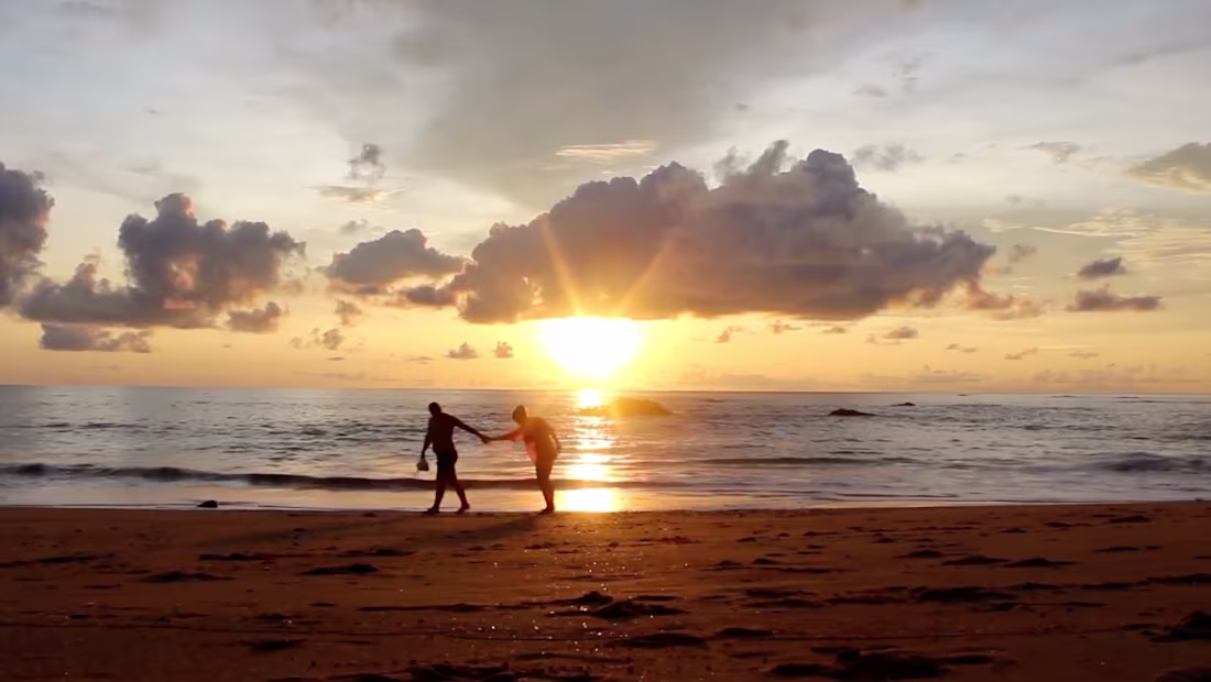 Cover image for Promo Videos