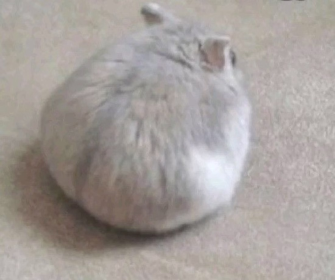 Cover image for oh this is just my