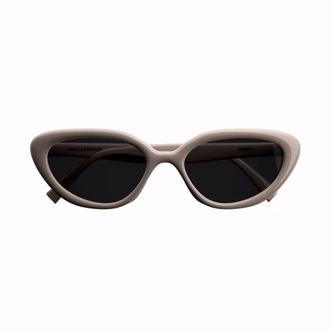 Cover image for Gentle Monster