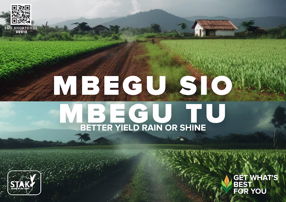 Cover image for SMIA - STAK CAMPAIGN