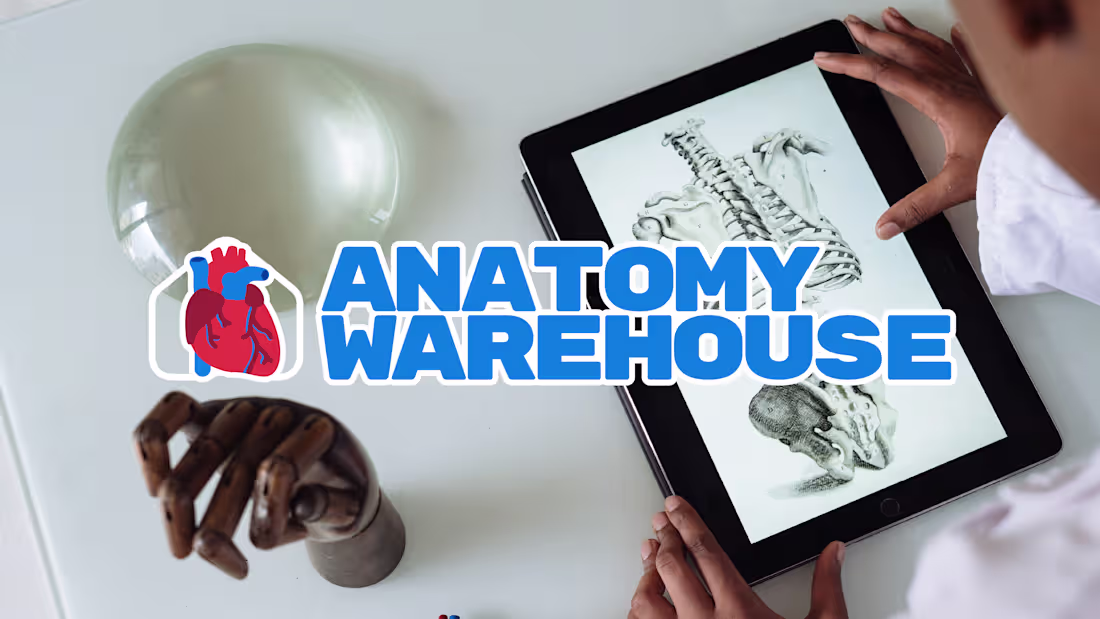 Cover image for Anatomy Warehouse | Visual Identity & Logo