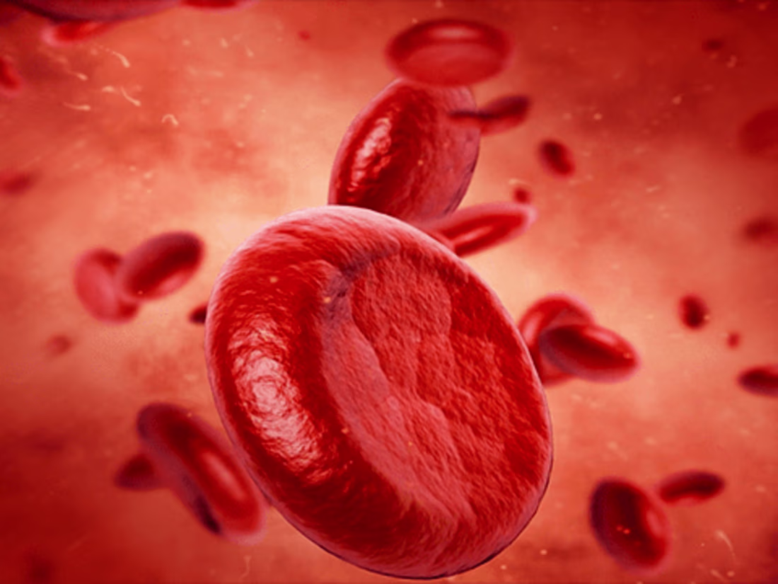 Cover image for 3D Medical animation