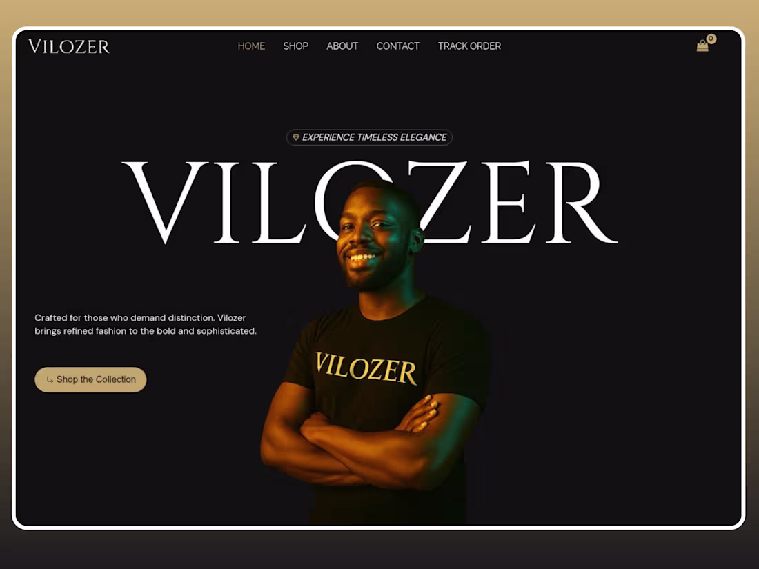 Cover image for Vilozer Website Design and Development