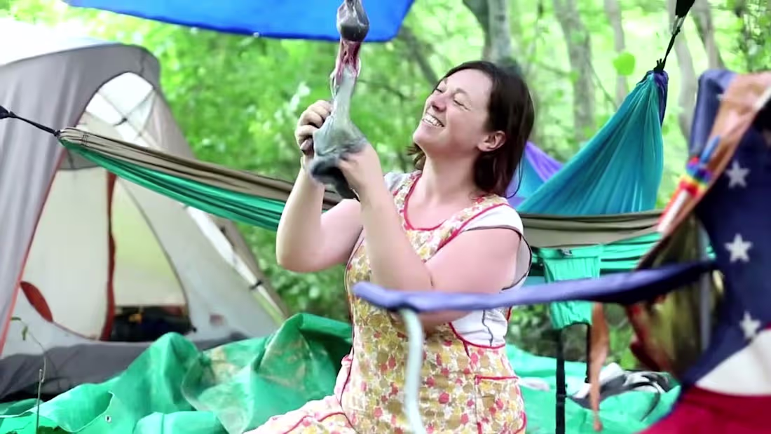 Cover image for Firefly Gathering