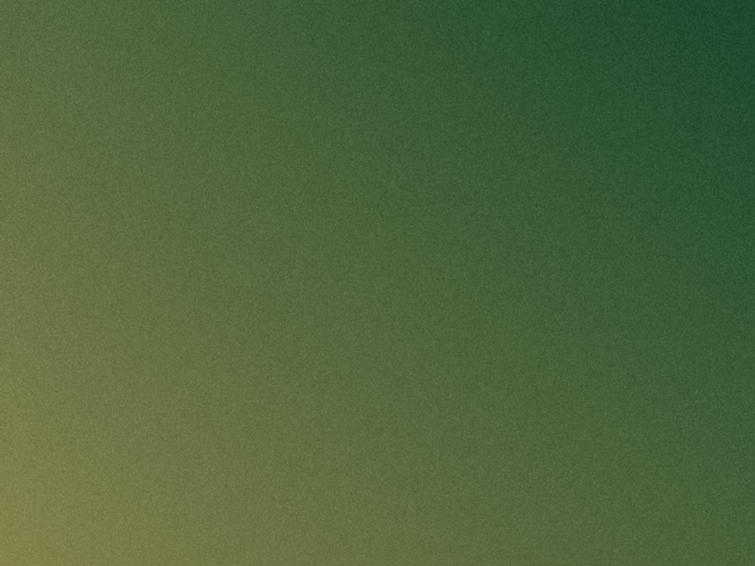 Cover image for LM International Women's Month — Social Coordination