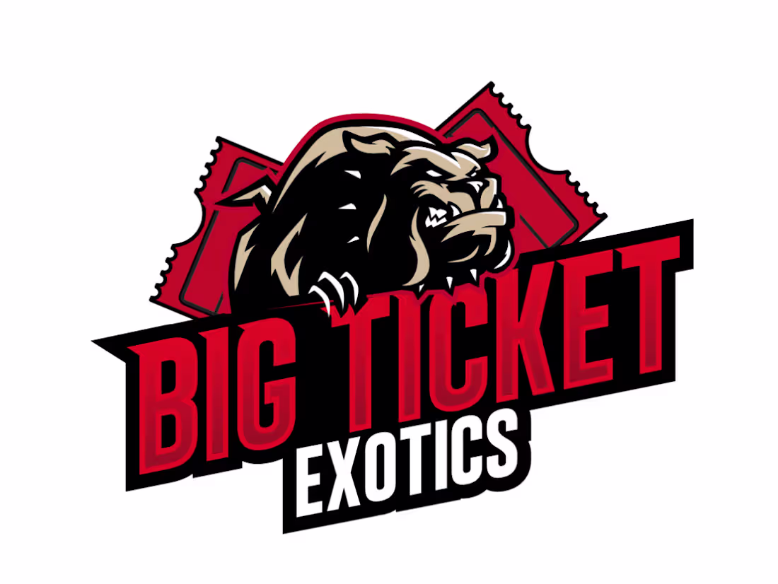 Cover image for Big Ticket Logo Development