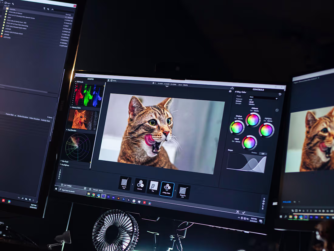 Cover image for Professional Video Editing