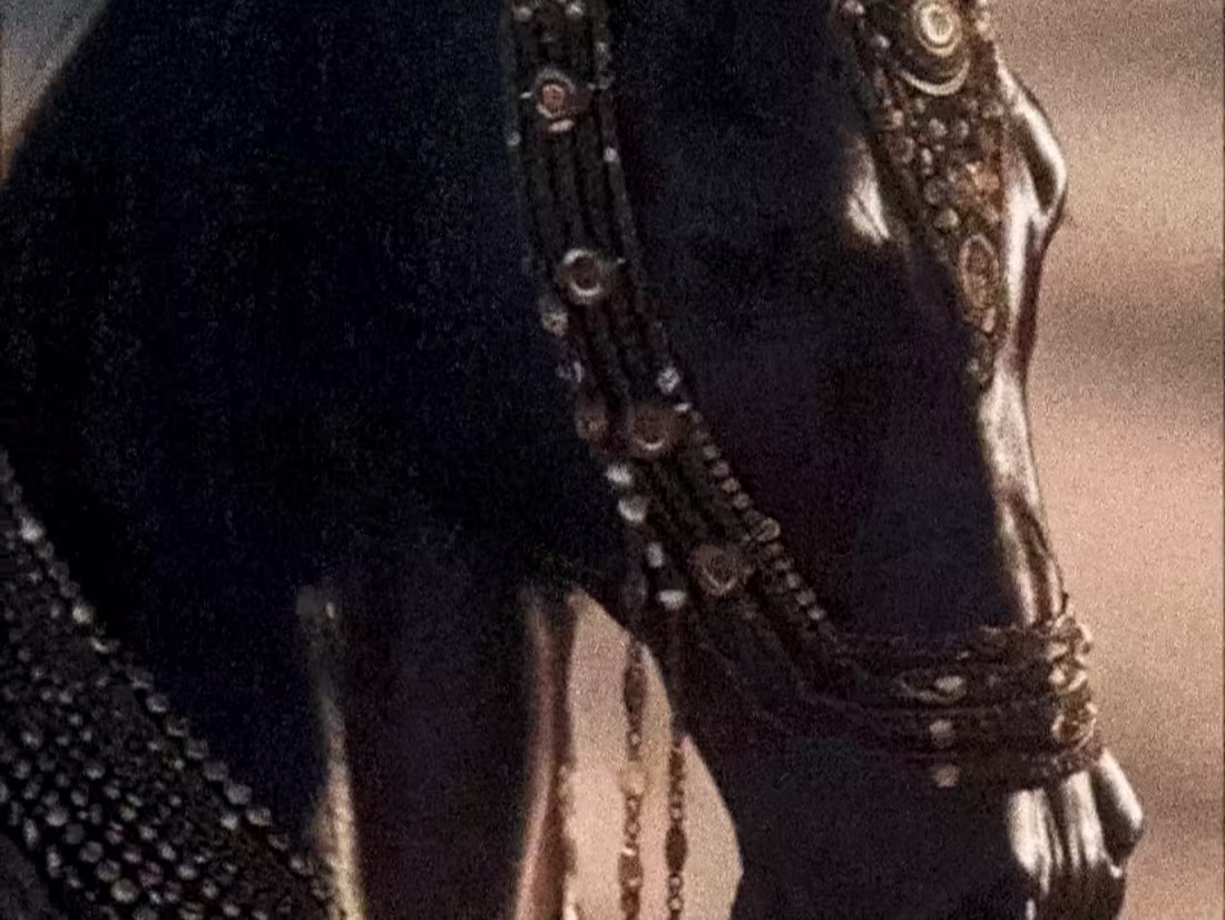 Cover image for Did this Ai x motion