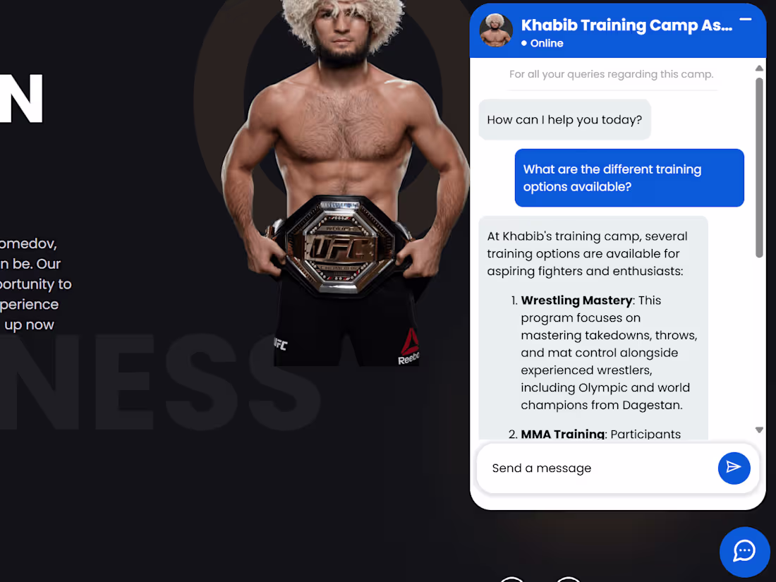 Cover image for Chatbot Demo for Khabib Website
