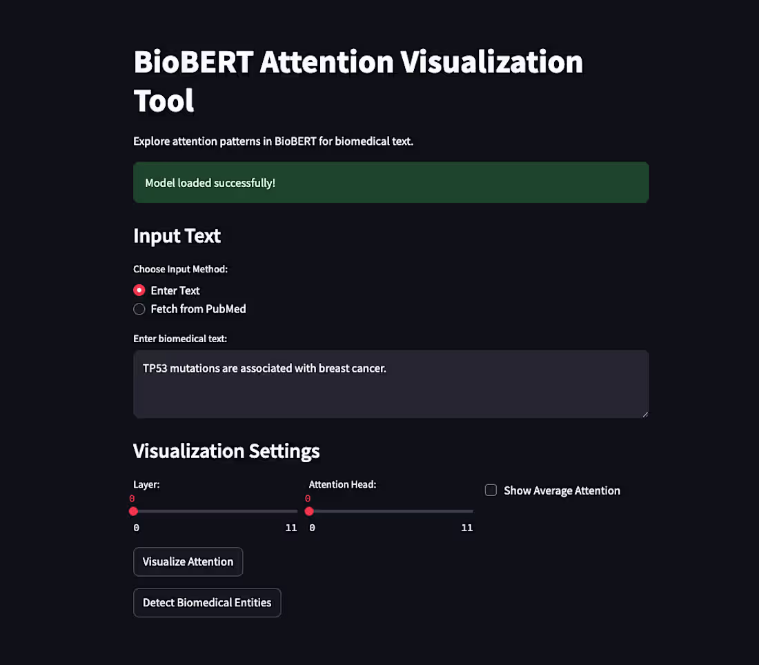 Cover image for BioBERT Attention Visualization Tool
An interactive