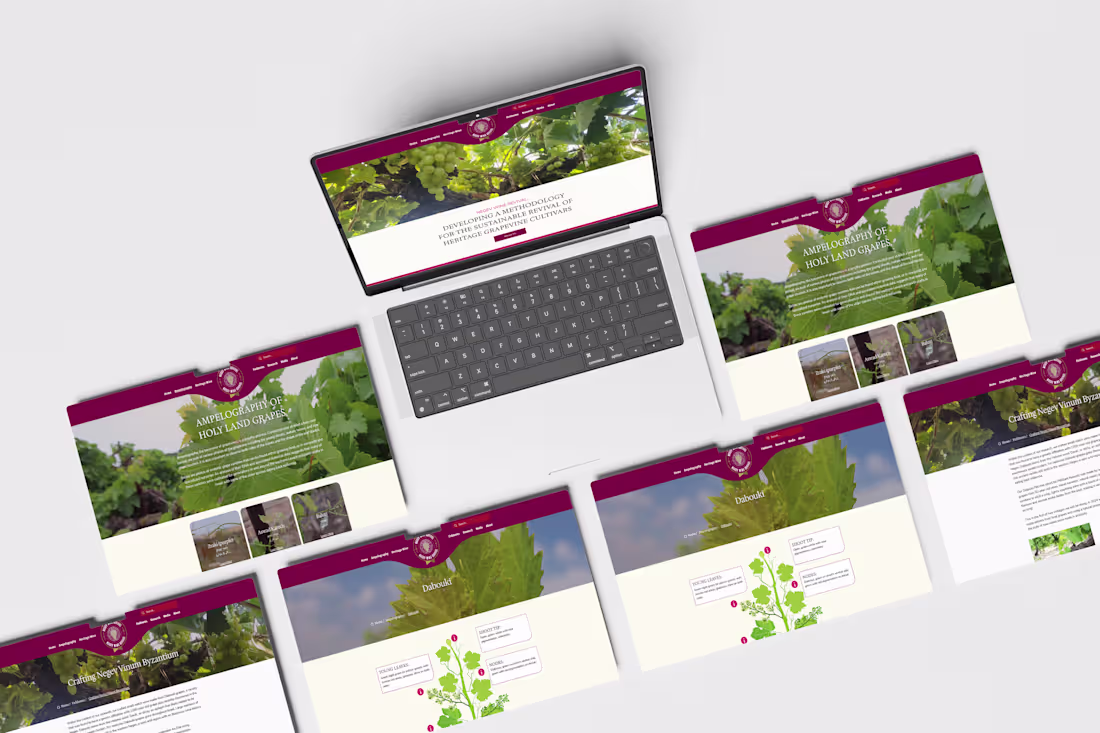 Cover image for Negev Wine Revival Wix Website Design