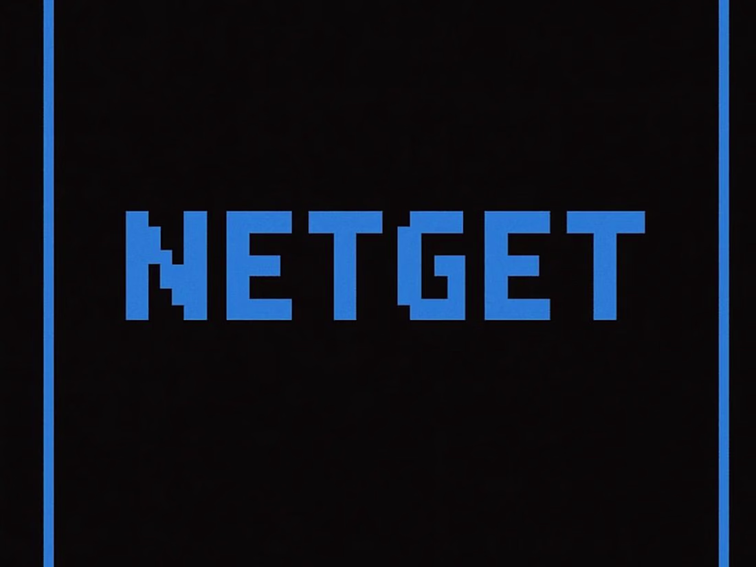 Cover image for NetGet: Smart Domain & Routing Manager for Web Deployments