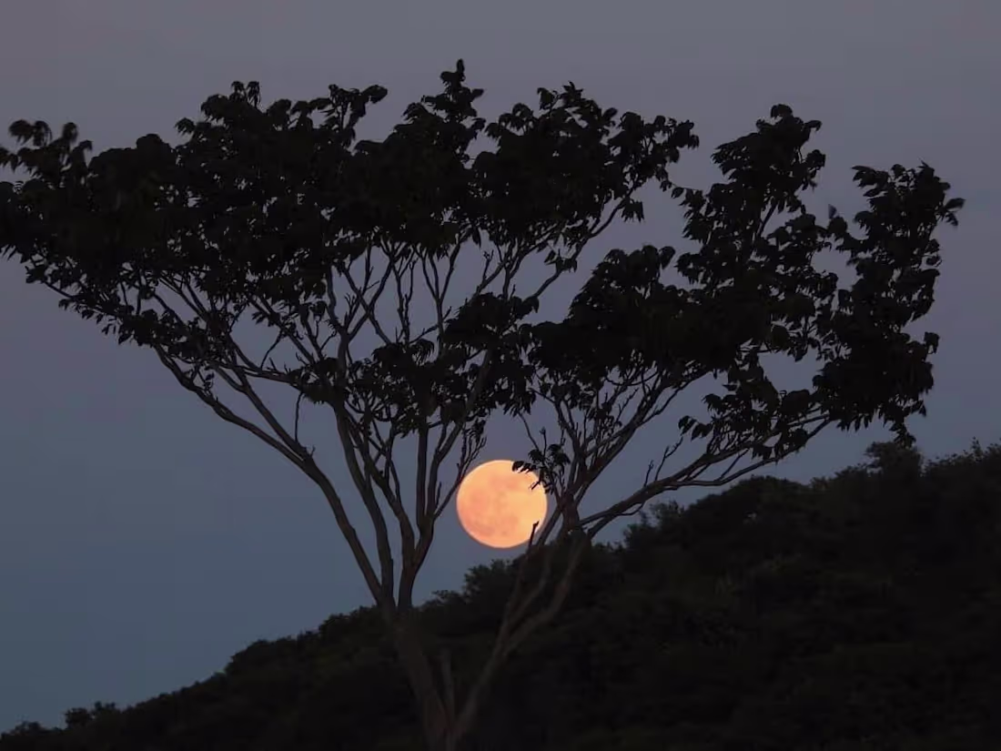 Cover image for photo enhancement