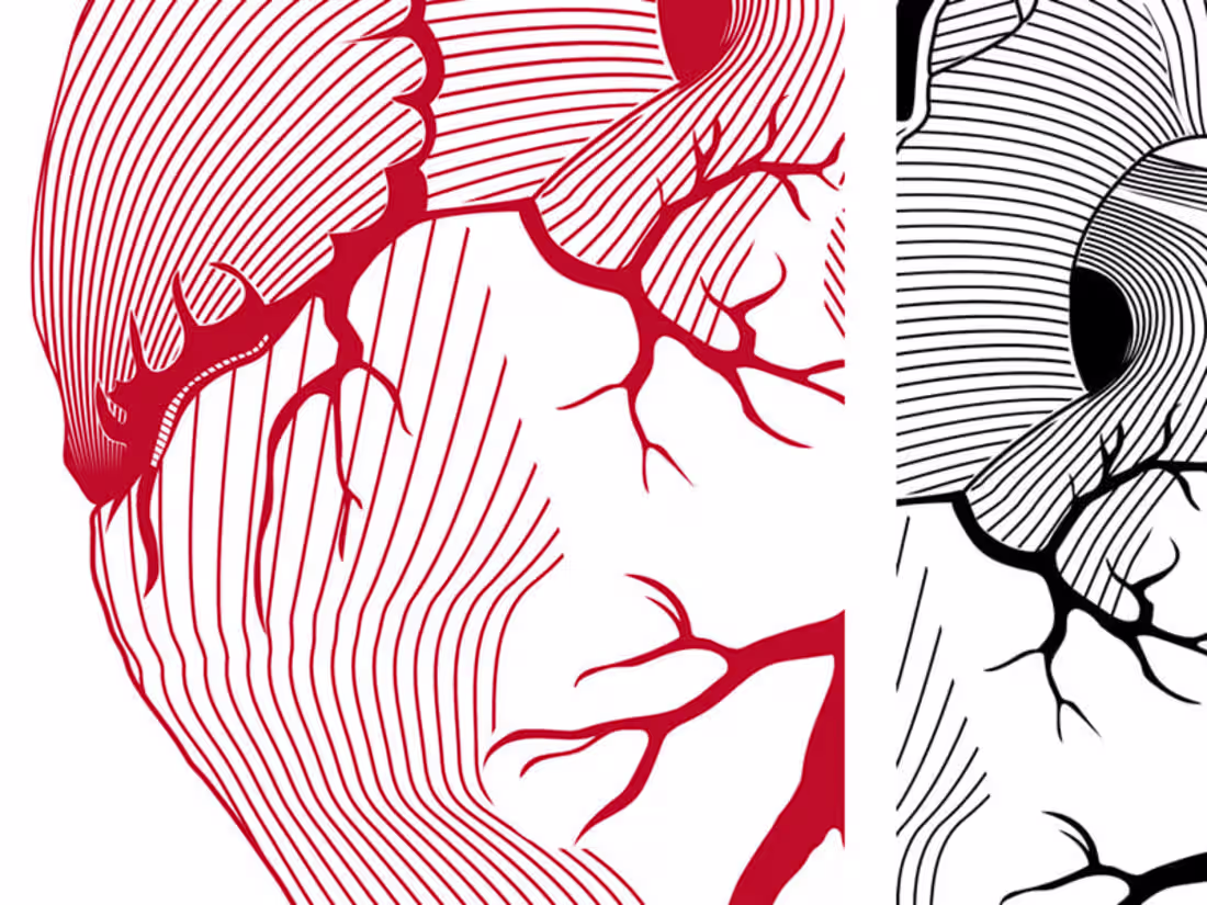 Cover image for Heart illustration made for Wroclaw Medical Univeristy