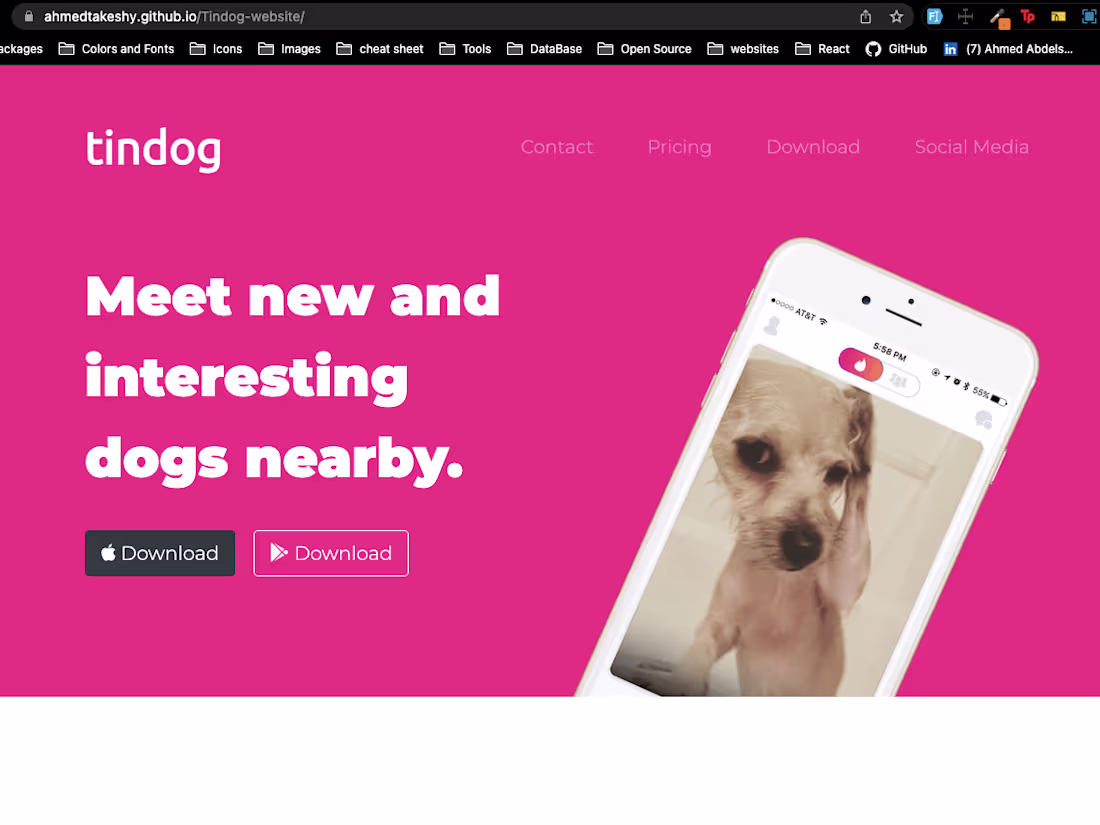 Cover image for TinDog website