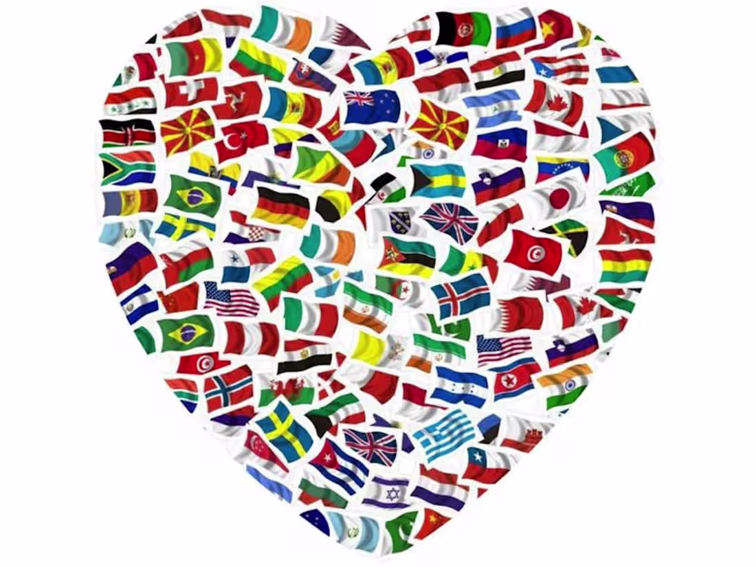 Cover image for Multilingual Translation