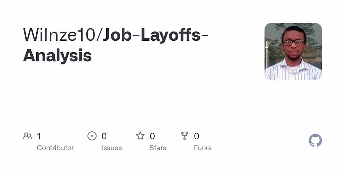 Cover image for Wilnze10/Job-Layoffs-Analysis