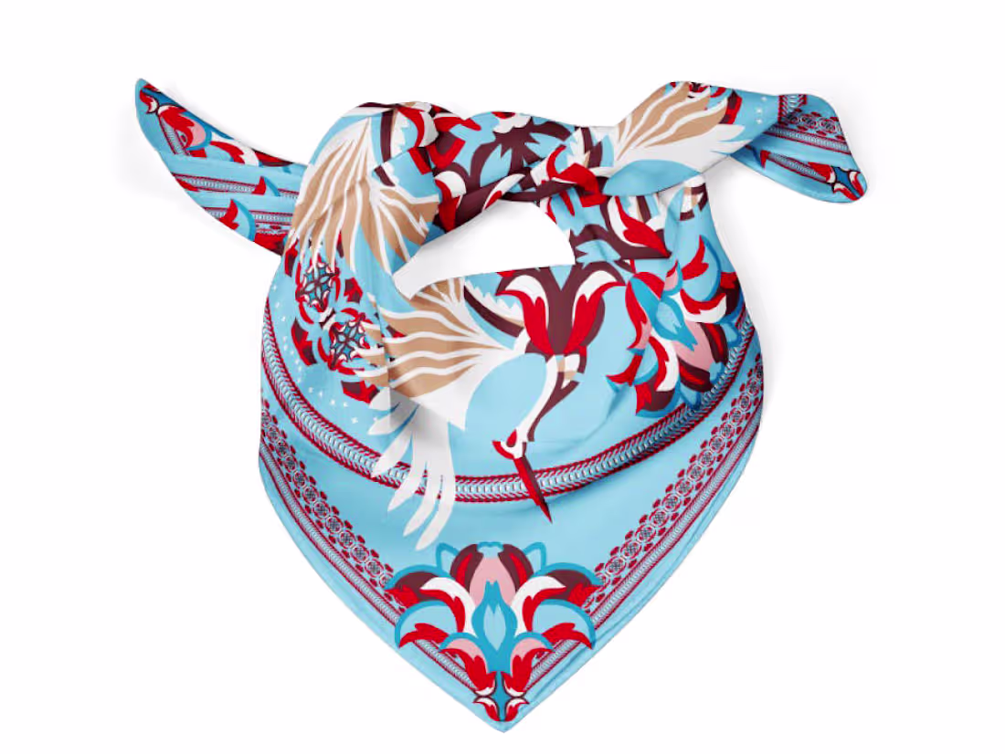 Cover image for Illustrated scarf