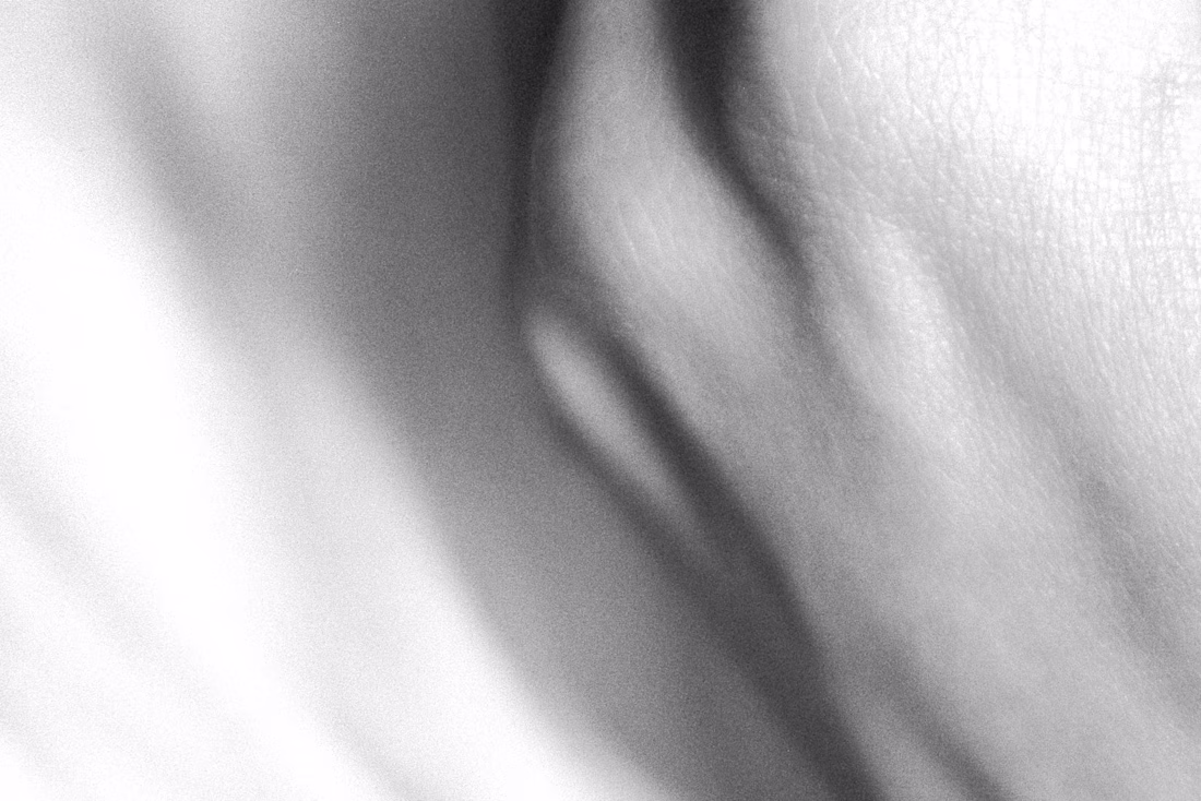 Cover image for In this work, I take