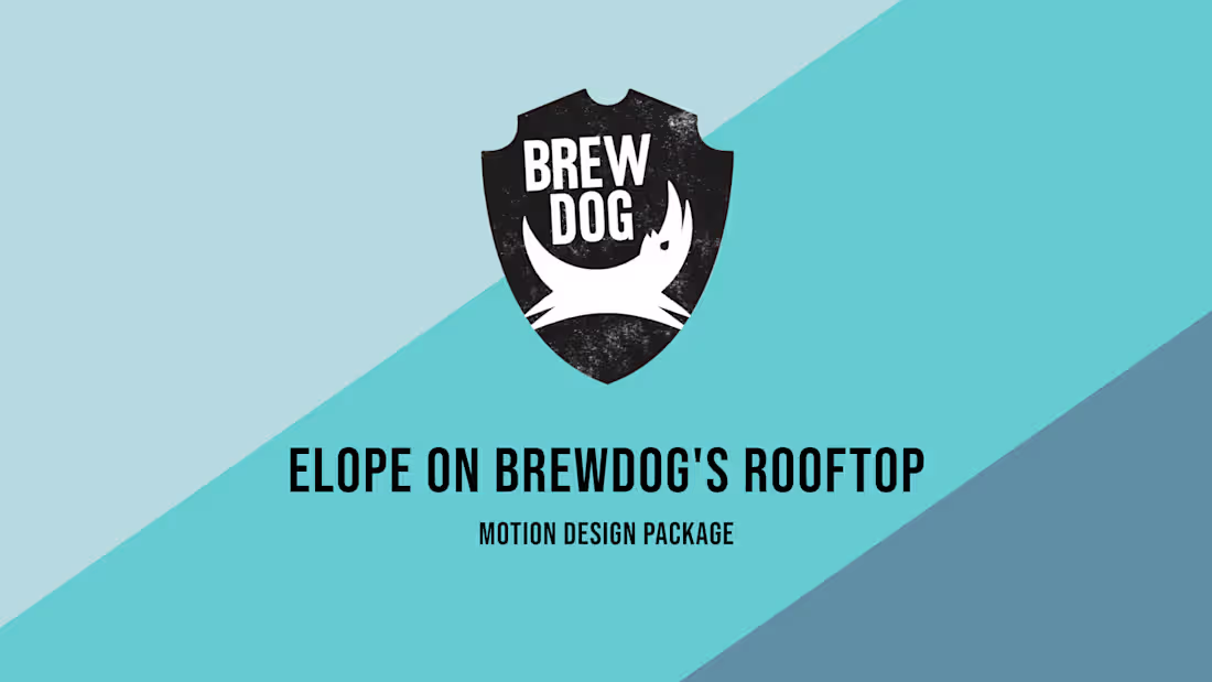 Cover image for Brewdog - Digital Ads Motion Package
