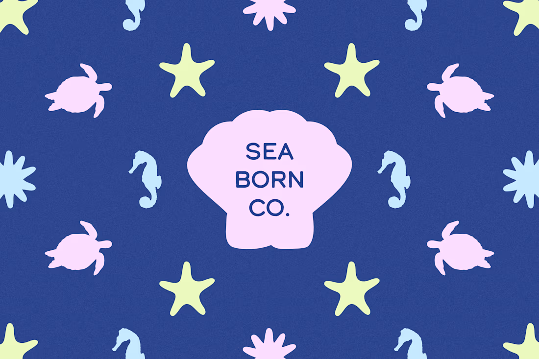 Cover image for Seaborn Co. – A Sustainable Swimwear Brand Identity