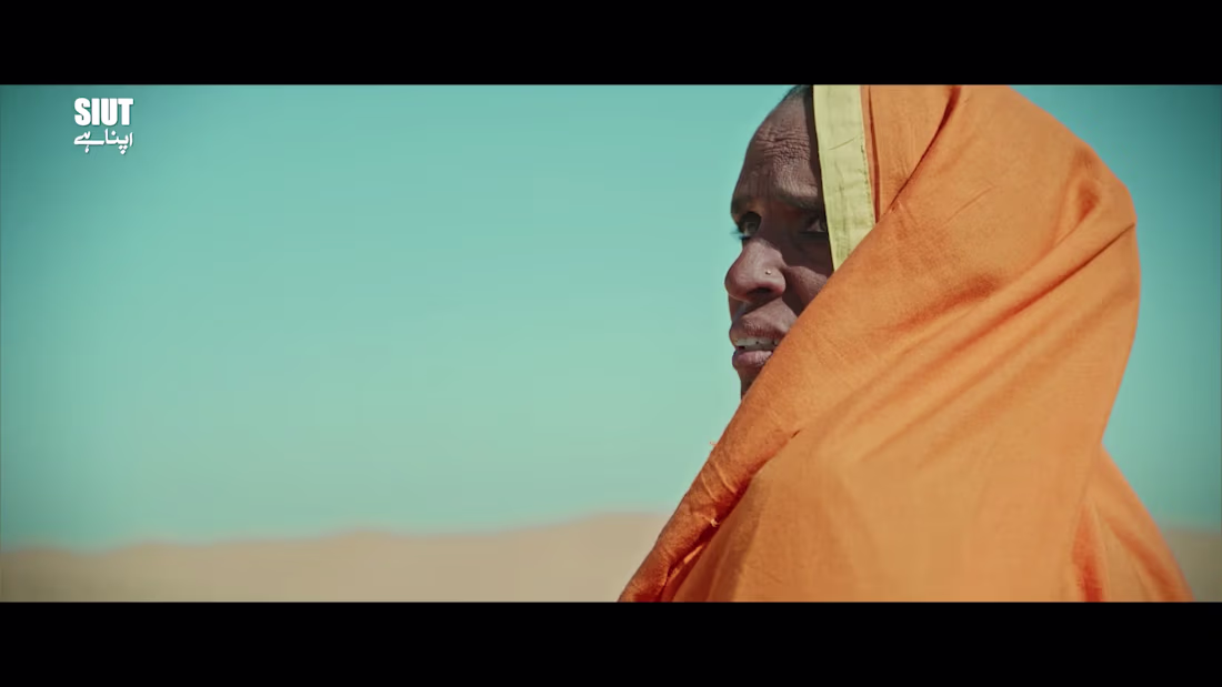 Cover image for SIUT | 2023 on Vimeo