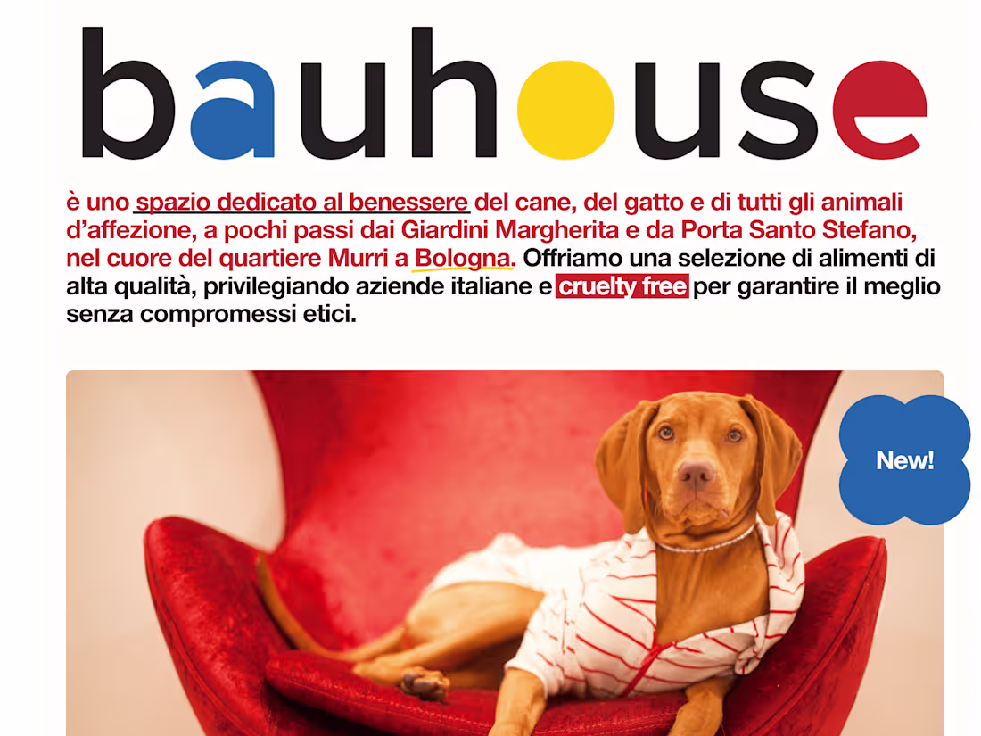Cover image for Bauhouse Petstore