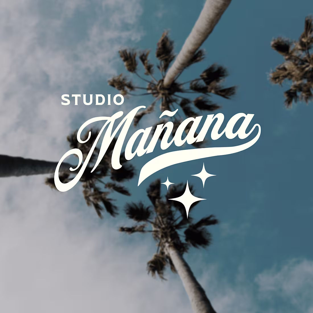 Cover image for Professional Voice Over Services