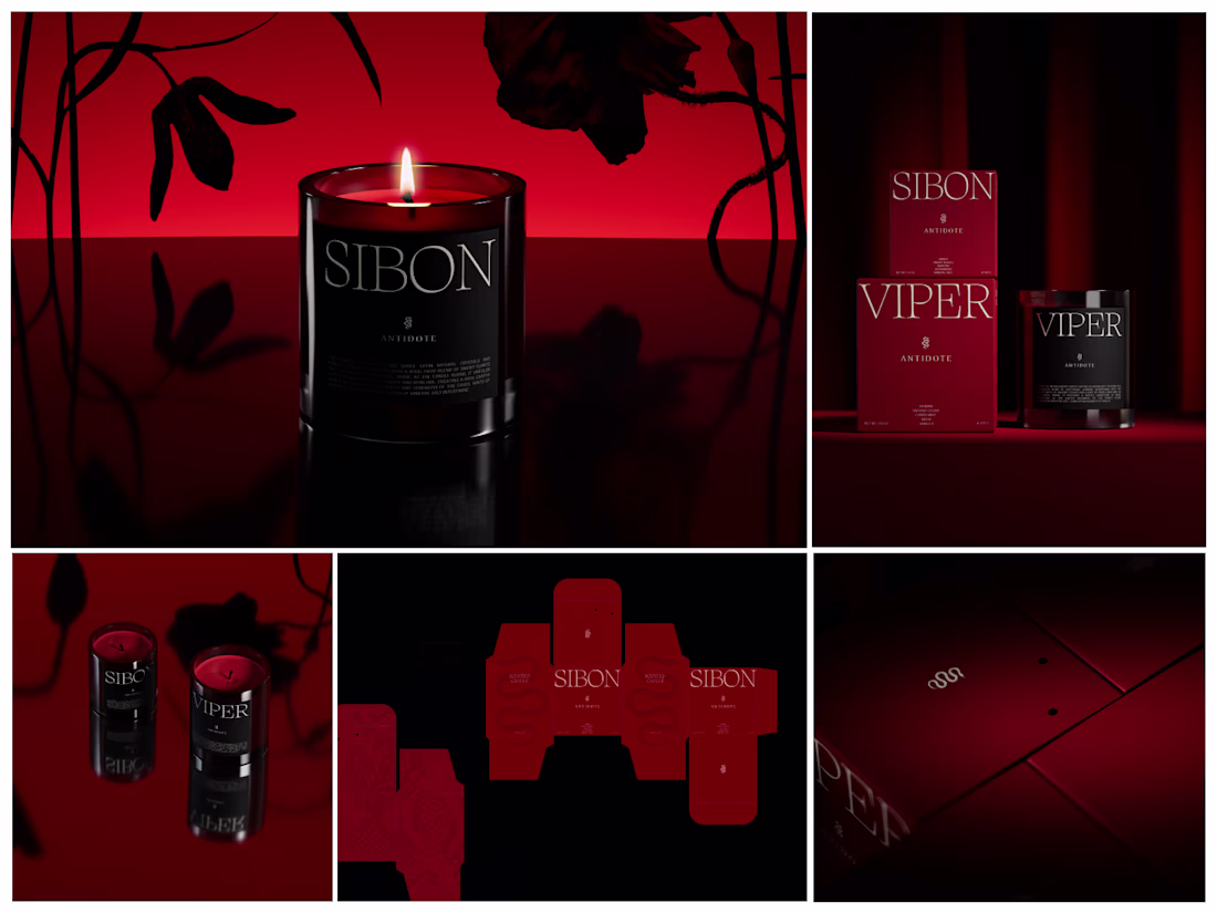 Cover image for Premium Packaging design