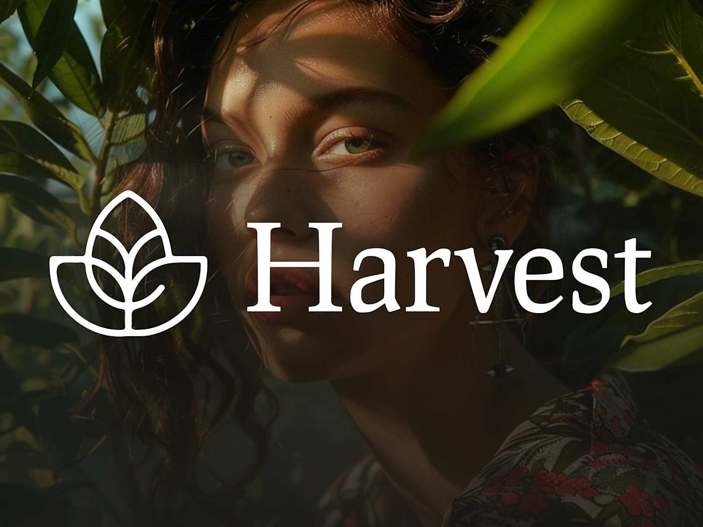 Harvest brand identity