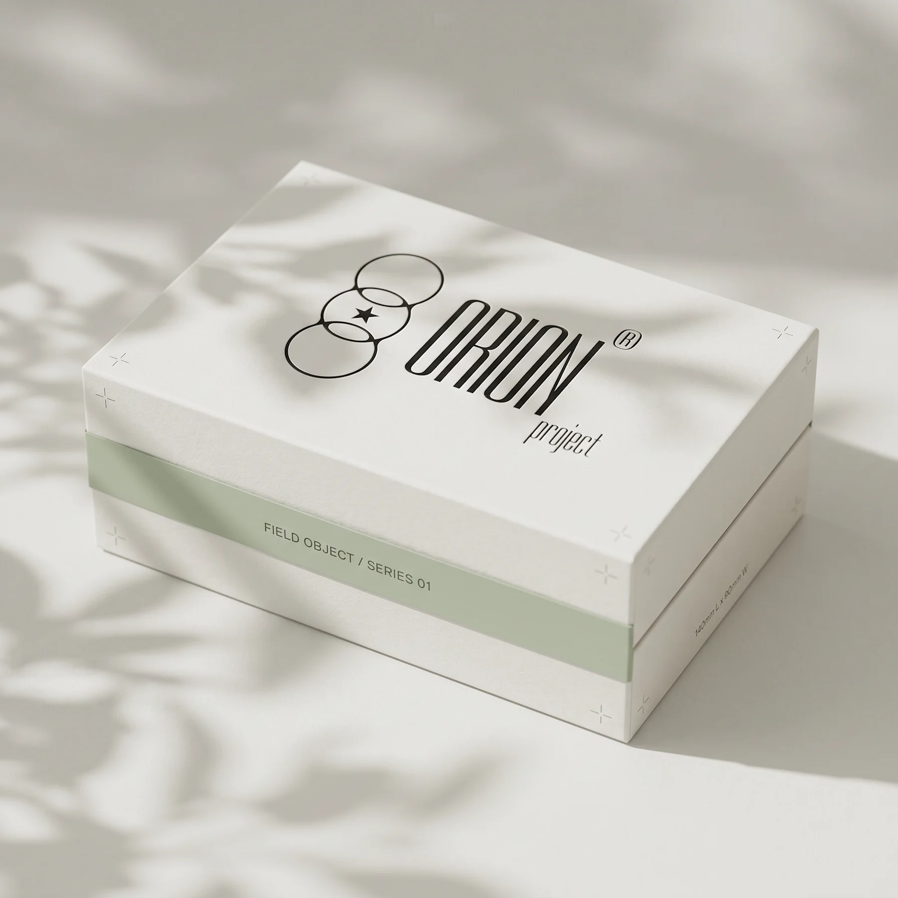 Orion Brand Identity Project