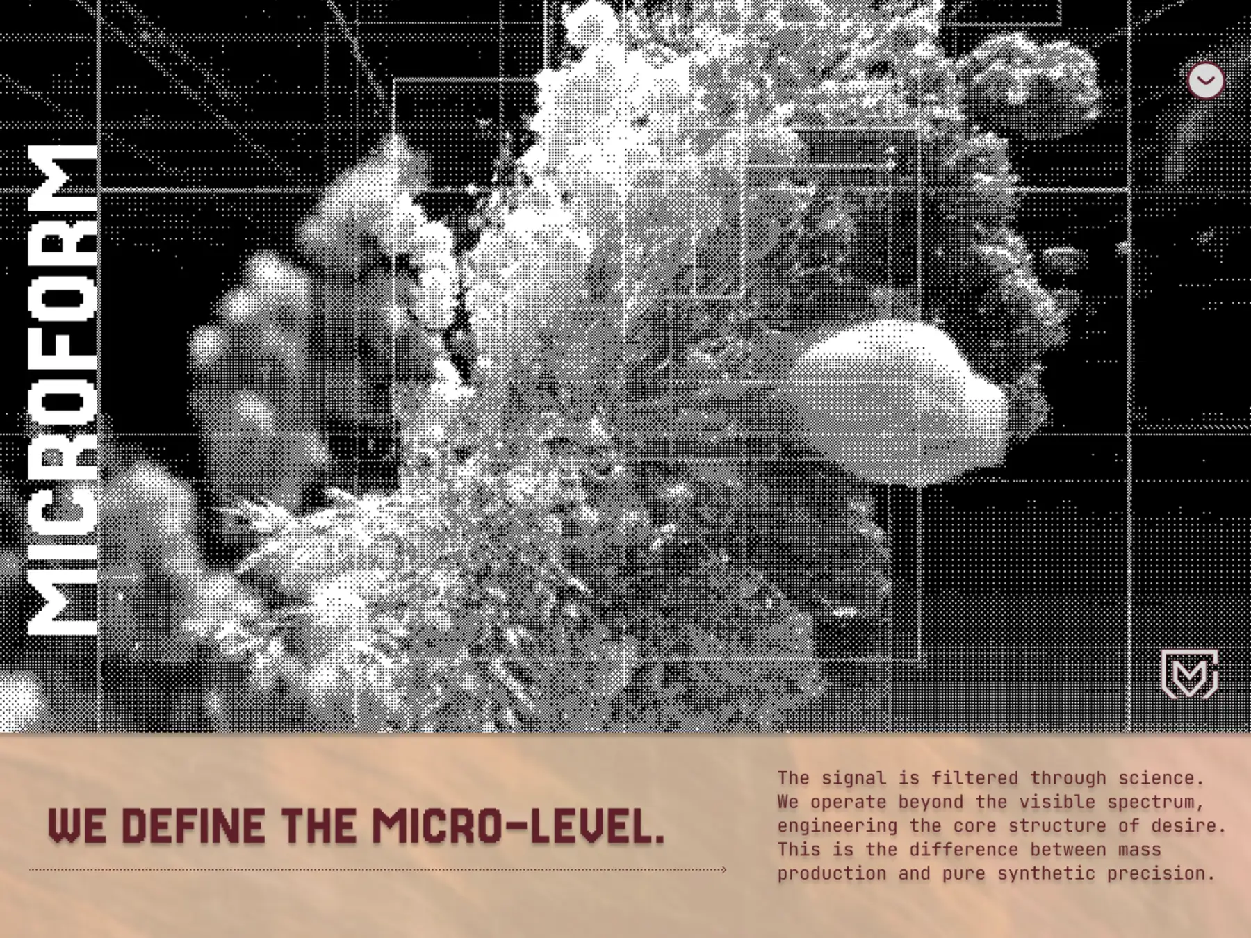 MICROFORM | The Structure Command