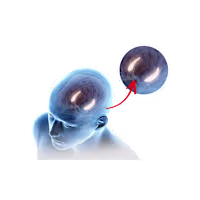 Try The Memory Wave Reviews