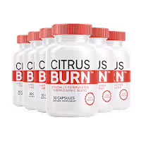 CitrusBurn   (CITRUS BURN)