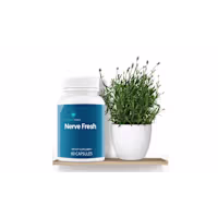 Nerve Fresh   Update Price