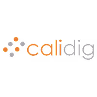 Calidig IT Solutions LLP