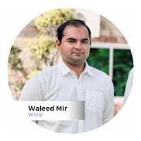 Waleed Mir