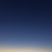 NZ avatar