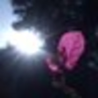 Sadiya avatar